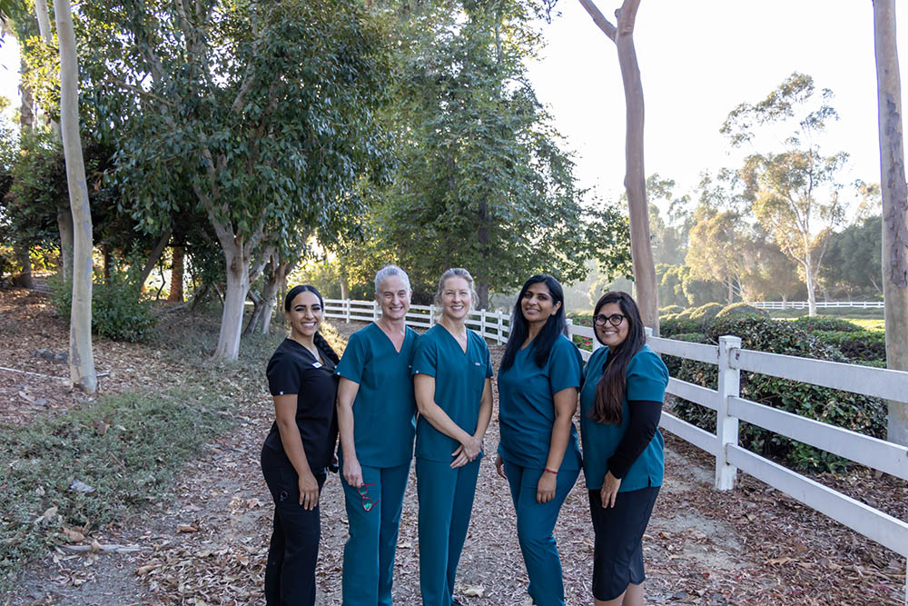 The Craft Dental team standing together on a tree-lined path